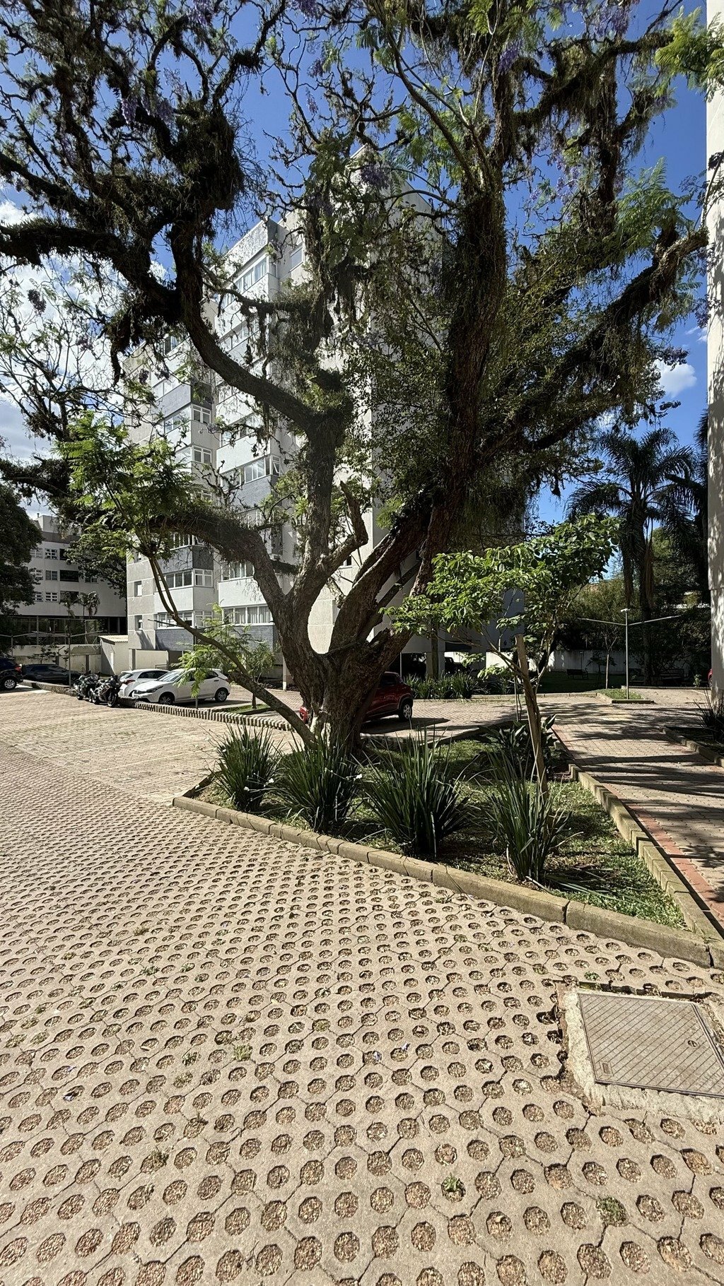 Lançamento Apartamento